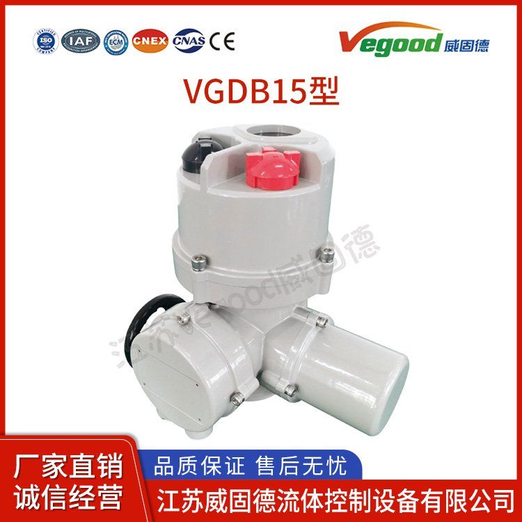 造紙廠工業(yè)總線型電動執(zhí)行器DQW15型角行程系列電動執(zhí)行器防護(hù)等級IP67