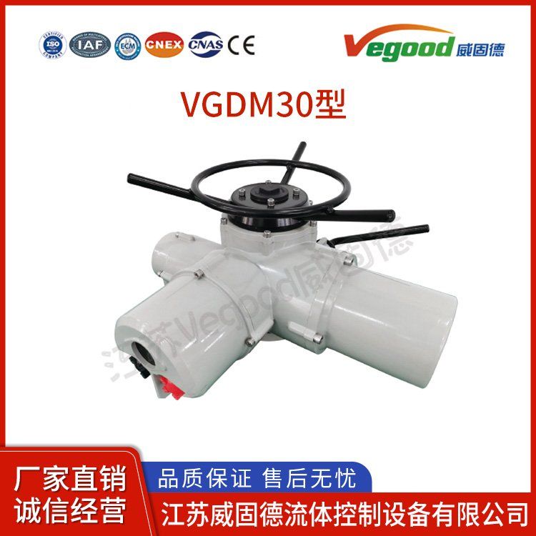 智能型蝶閥電動執(zhí)行器F-DZW30智能型電動執(zhí)行機(jī)構(gòu)