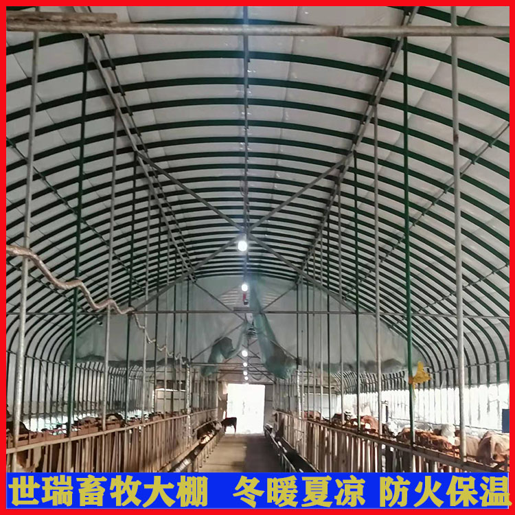 搭建養(yǎng)牛棚材料牛舍大棚建設(shè)鋼架養(yǎng)牛大棚施工黃牛養(yǎng)殖大棚