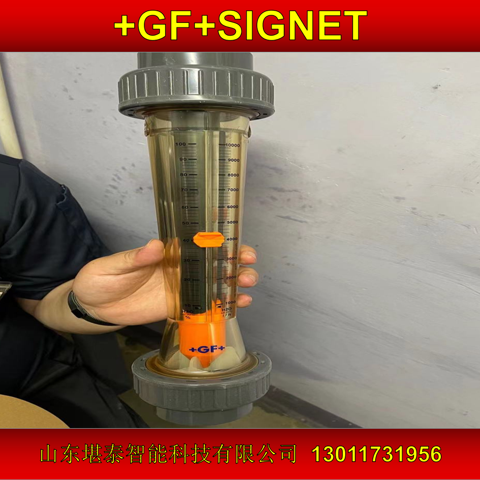 GFsignet浮子流量計199335009PVC\/EPDMDN5015000L\/H