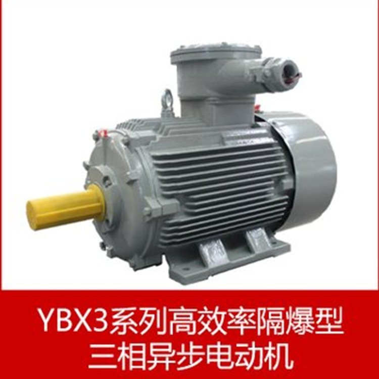 全新一代YBX3系列隔爆型三相異步電動機(jī)WOLONG電氣防爆電機(jī)