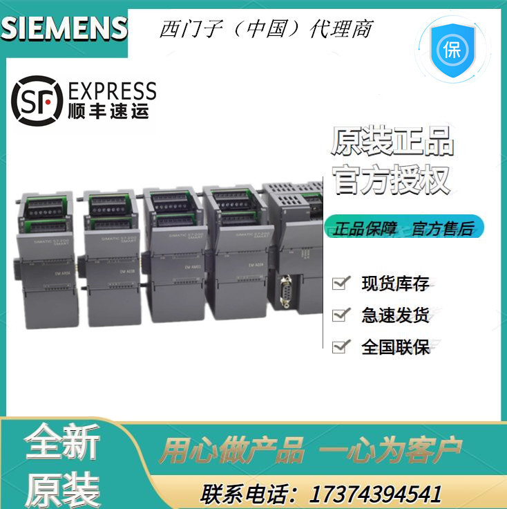 6ES72881SR300AA1西門子PLC標(biāo)準(zhǔn)型繼電器輸出6ES7288-1SR30-0AA1