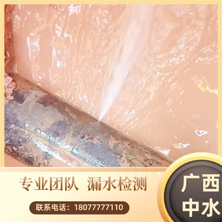 廣西水管漏水檢測(cè)-消防供水管道探測(cè)-中水24小時(shí)服務(wù)