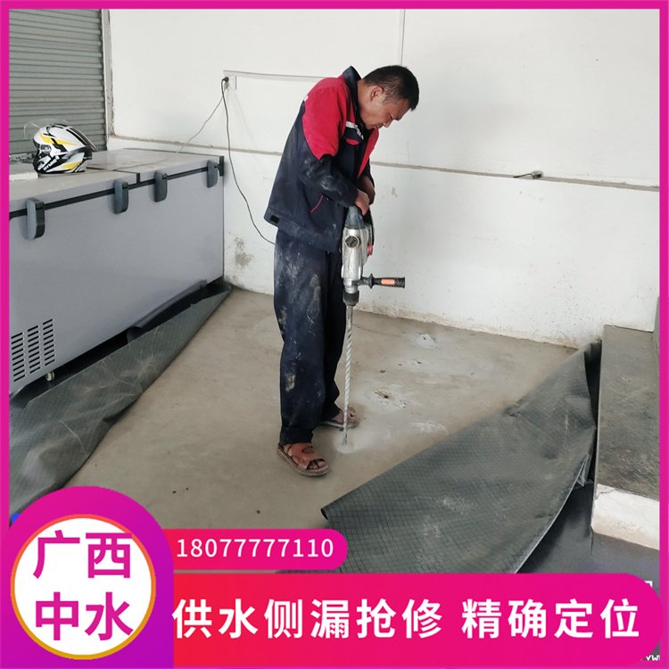 河池地下消防管道漏水探測(cè)供水管道漏水檢測(cè)機(jī)構(gòu)