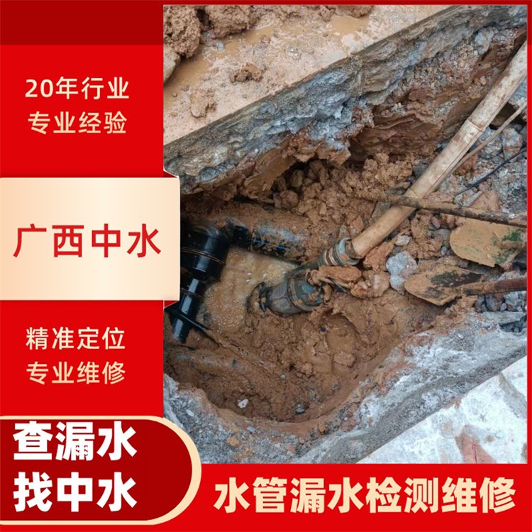 百百色園區(qū)排水管漏水檢測維修學校供水管道漏水探測