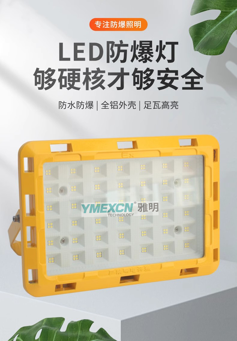 LED防爆燈化工廠房車間100W150W倉庫加油站200W300W投光泛光燈