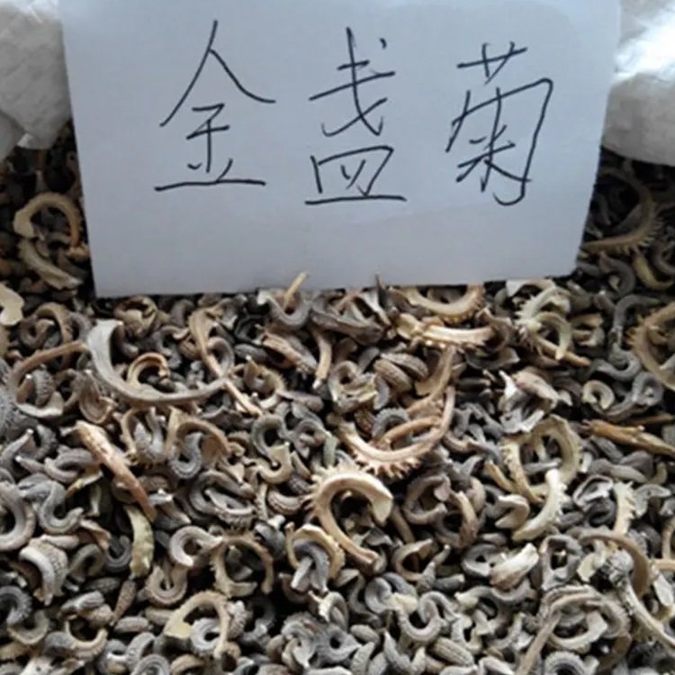 金盞菊種子工程綠化黃金菊花海花鏡切花可食用花籽長(zhǎng)生菊種子