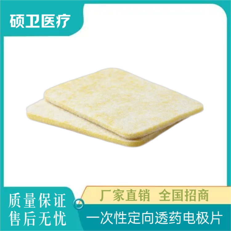 碩衛(wèi)理療電極片（適用于：定向透藥，胃腸動(dòng)力，中低頻，超聲透藥）