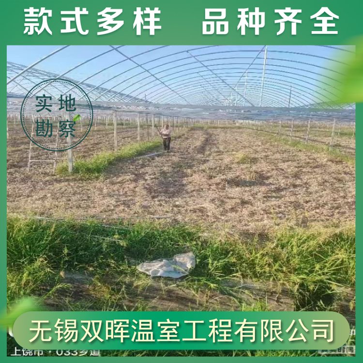 雙暉溫室蔬菜種植薄膜連棟大棚建造可實地測量設(shè)計