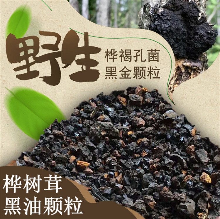 樺樹茸黑金加工廠樺褐孔菌黑金顆粒代用茶生產(chǎn)廠家