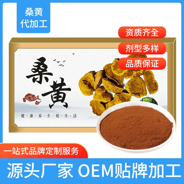 桑黃粉加工廠家桑樹(shù)楊樹(shù)黃桑黃產(chǎn)品定制代加工廠