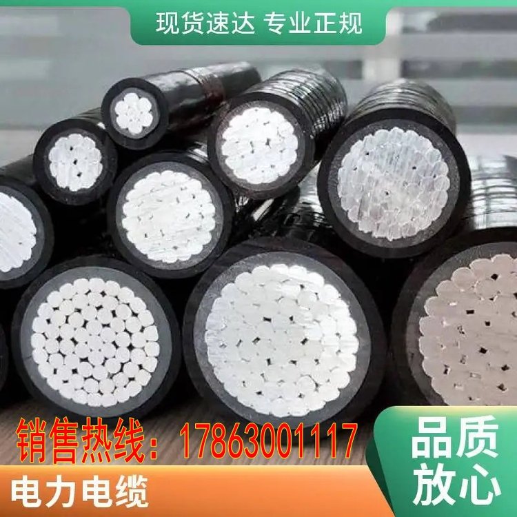 德標(biāo)電器設(shè)備電纜生產(chǎn)廠家H07V2-K廠家批發(fā)2×0.31000米當(dāng)天發(fā)貨