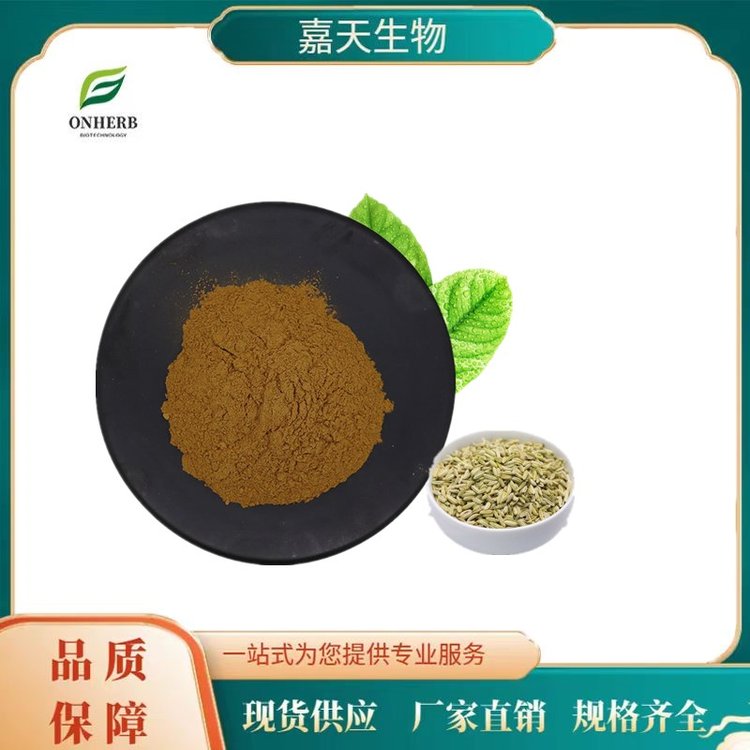 嘉天供應(yīng)小茴香提取物10:1水溶性小茴香粉小茴香浸膏