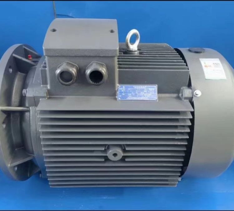 YE3-200L-4-30KW380V50HZЧ(ji)늄әC(j)_Ԫ늙C(j)N۲