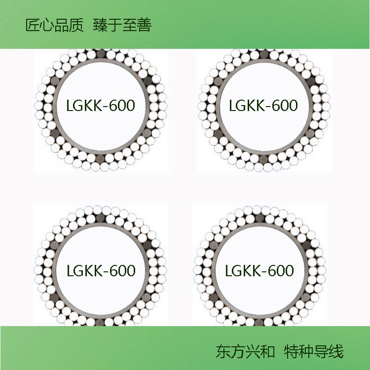 LGKK-600X䓔Uо(do)F(xin)؛ֱl(f)Ʒ|(zh)C