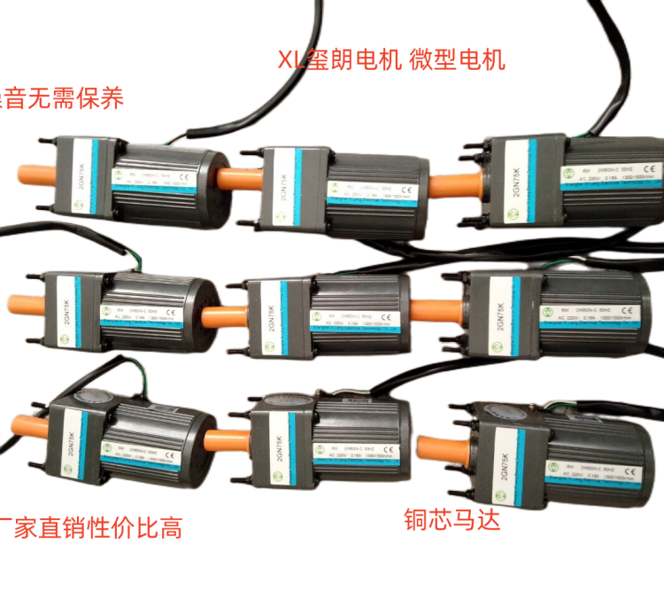 40W齒輪減速電機5IK40GN-C\/5GN25K微型電機璽朗馬達