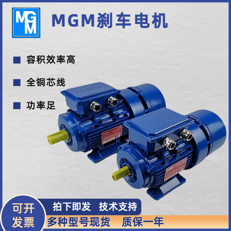 MGM電機BA160LA4風(fēng)能偏航馬達卷簾門抱閘電機