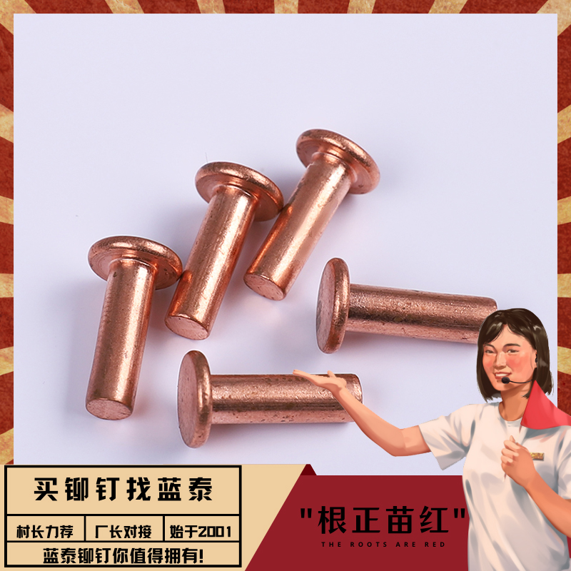 藍(lán)泰非標(biāo)定制電器導(dǎo)電觸點(diǎn)平頭GB872扁平頭實(shí)心紫銅鉚釘