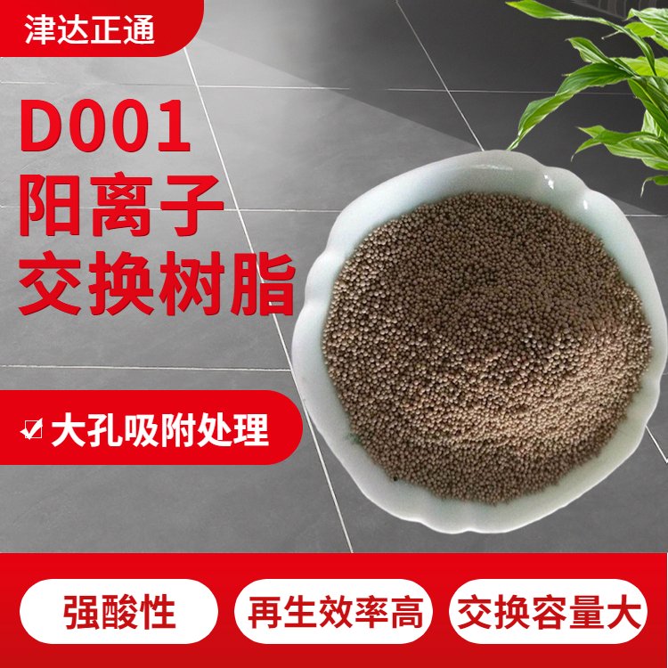 津達(dá)正通水處理大孔吸附處理D001陽(yáng)離子交換樹脂強(qiáng)酸性