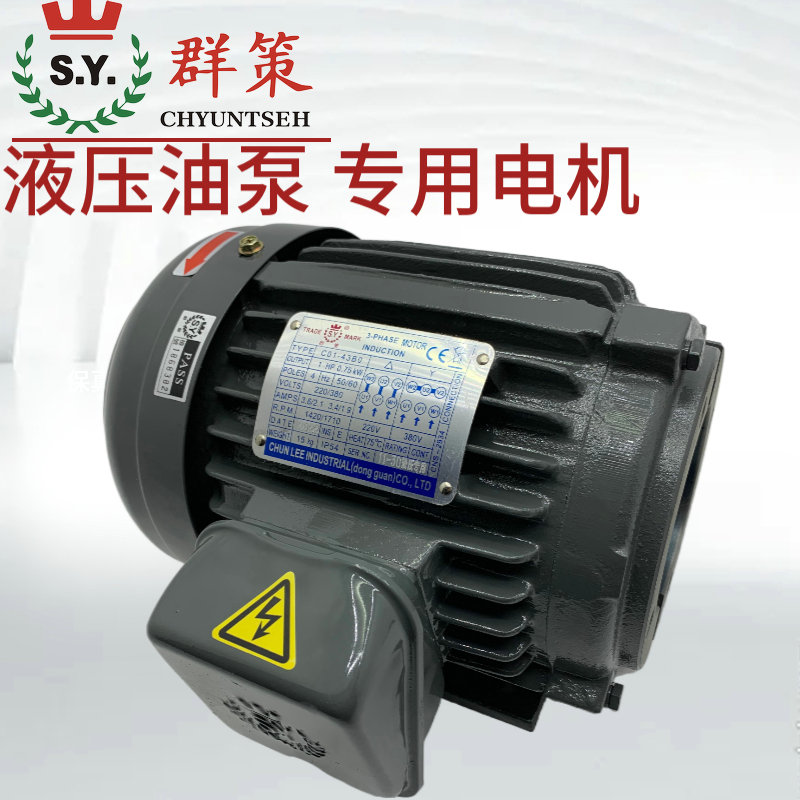 SY群策電機(jī)C03-43B03HP4P油泵專用內(nèi)軸電動(dòng)機(jī)油壓液壓直插