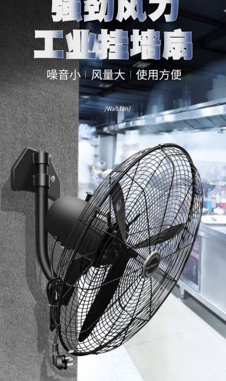 工業(yè)風扇壁式調(diào)速DFX-500（100W）220V可定制上海德東電機廠