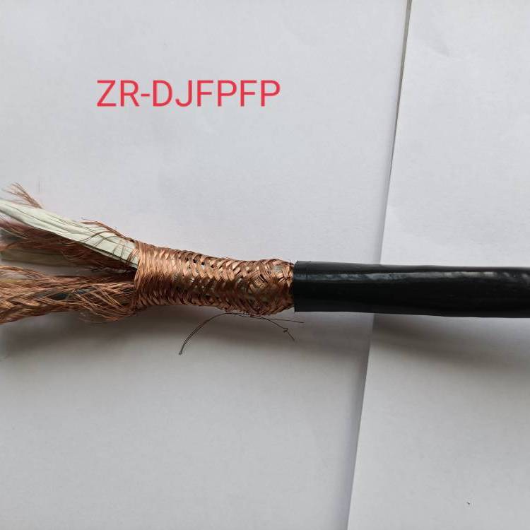 安徽春輝集團(tuán)ZR-DJFP2FP-2*2*1.0***計(jì)算機(jī)電纜