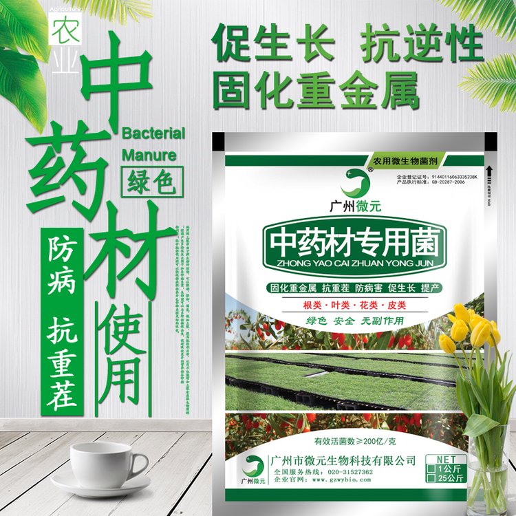 中藥材菌肥專用功能菌中成藥種植專用農(nóng)用微生物菌劑復合芽孢桿菌