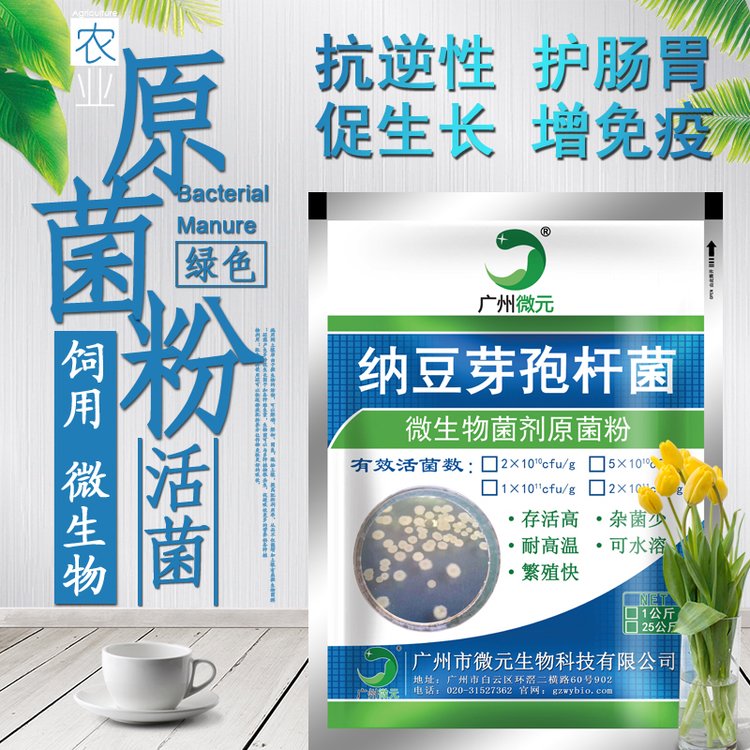 納豆芽孢桿菌混合型微生物飼料添加劑促進(jìn)腸道有益厭氧菌生長