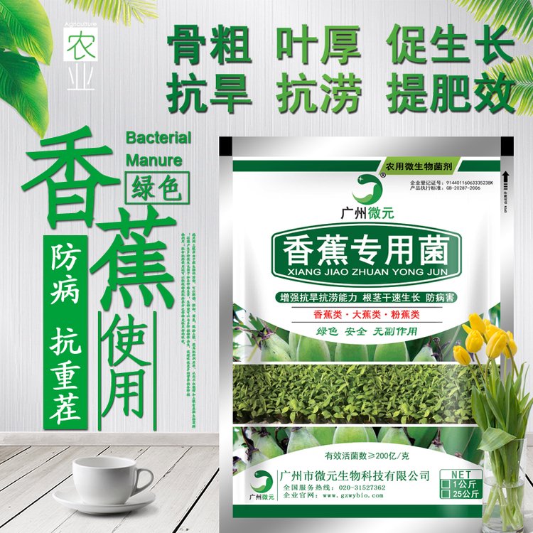 香蕉專用生物功能菌復(fù)合芽孢桿菌促生長(zhǎng)提高肥料利用率解磷解鉀