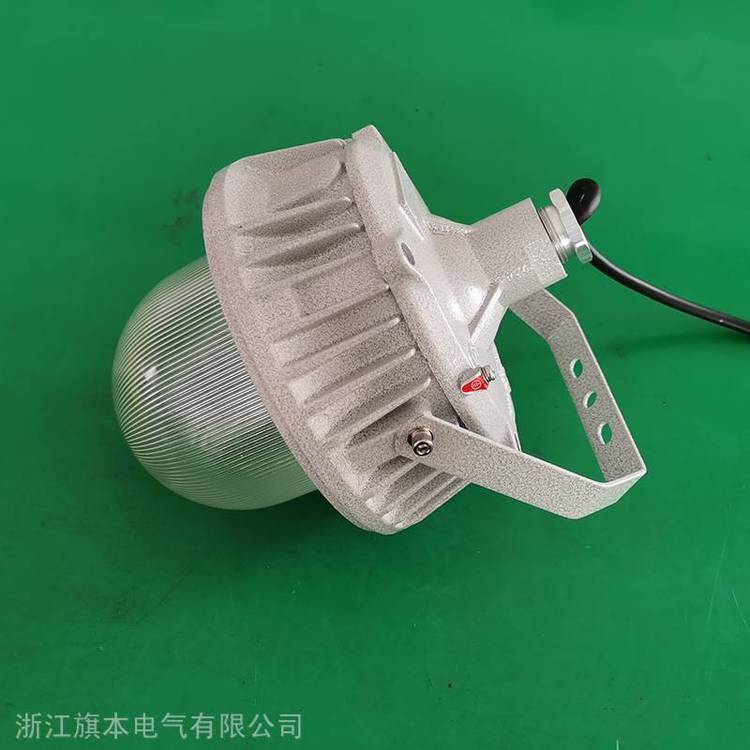 立桿式三防燈50W防水防塵燈70W防爆防潮防腐燈100W