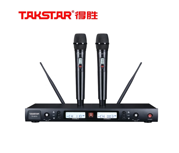 得勝（TAKSTAR）TS-8819一拖二麥克風(fēng)U段專業(yè)演出會議K歌動圈話筒