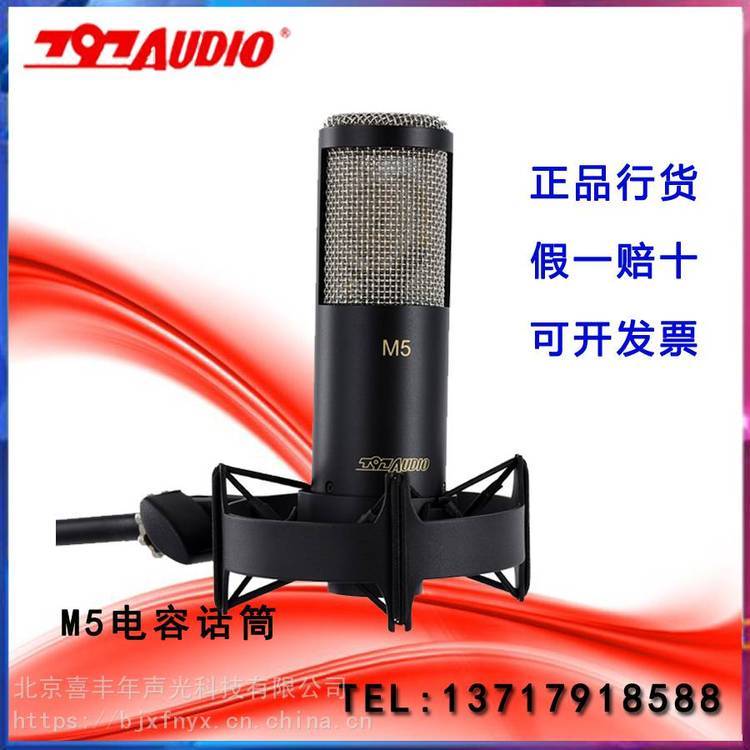 七九七音響797M5電容麥克風(fēng)直播K歌配音話筒YY主播797AUDIO