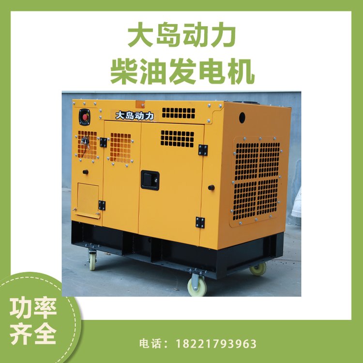 大島高原使用6KW高原汽油發(fā)電機(jī)永磁變頻電機(jī)DD6DIER