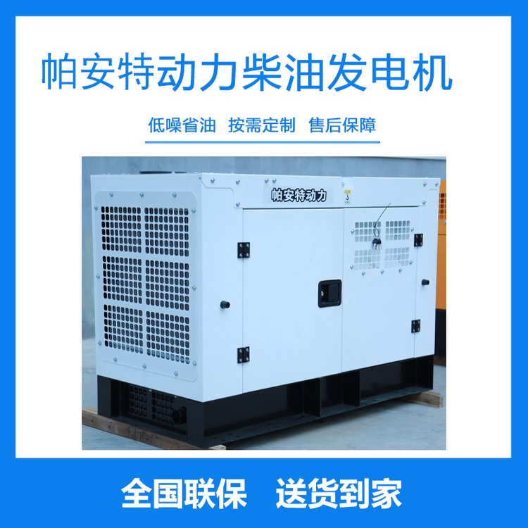 帕安特電啟動(dòng)250A單相220V應(yīng)急汽油發(fā)電機(jī)備用防塵PAT250ARFG