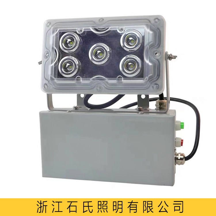 NFE9178固態(tài)免維護(hù)應(yīng)急燈NFC9178led電廠配電站事故應(yīng)急照明燈