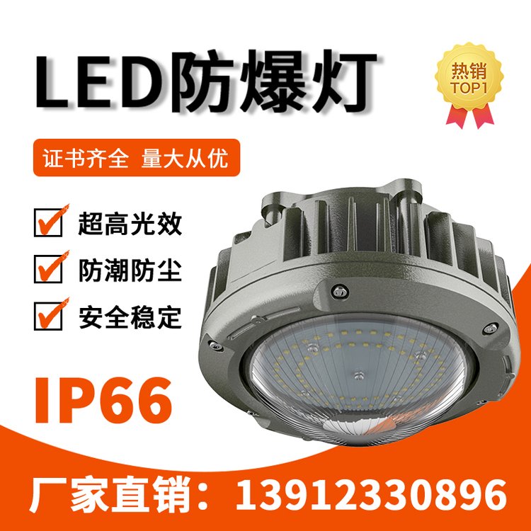 利雄GCD97LED短玻璃工業(yè)防爆燈功率40-80W