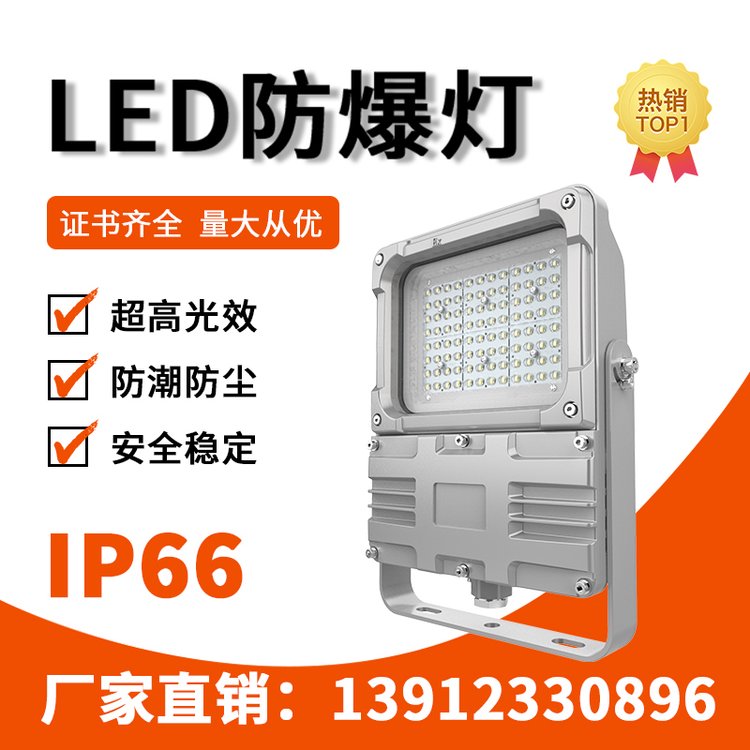 利雄防爆工業(yè)燈GCD9193A透鏡款-2代60-100W96pcs定制