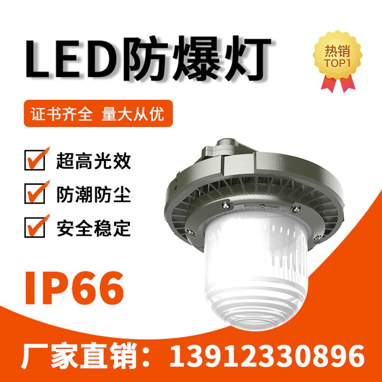 利雄GCD98LED長玻璃防爆燈具80-150W發(fā)光角度150°