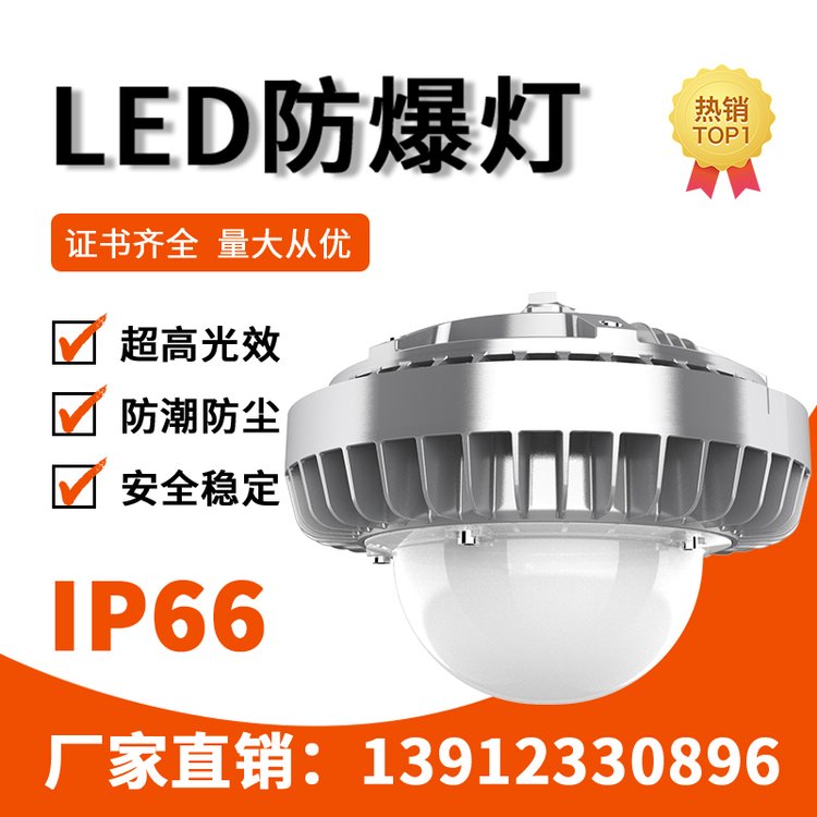 GCD811C-PC款工業(yè)防爆燈利雄功率80-120w120pcs定制