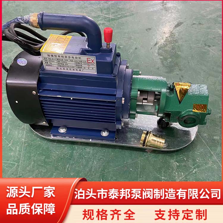 WCB-100手提泵便攜式電動(dòng)泵潤滑油泵貨源充足工業(yè)泵總廠