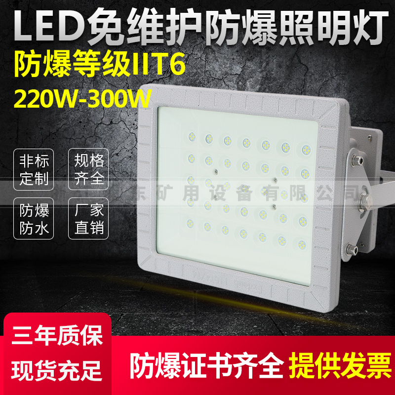 防爆燈廠家直售LED免維護(hù)防爆照明燈防爆等級(jí)IIT6220W-300W