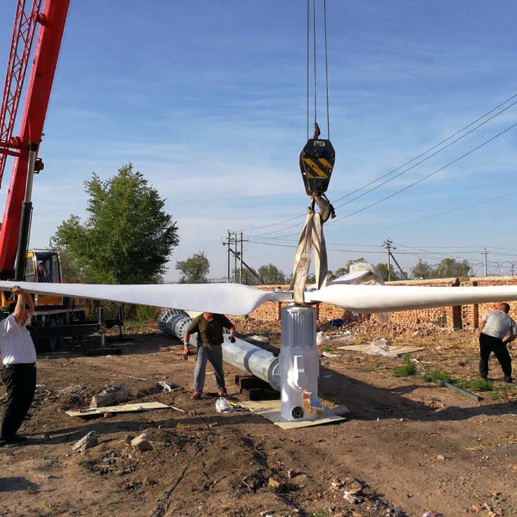 晟成30千瓦風機小型風力發(fā)電機風能轉(zhuǎn)化率高清潔能源