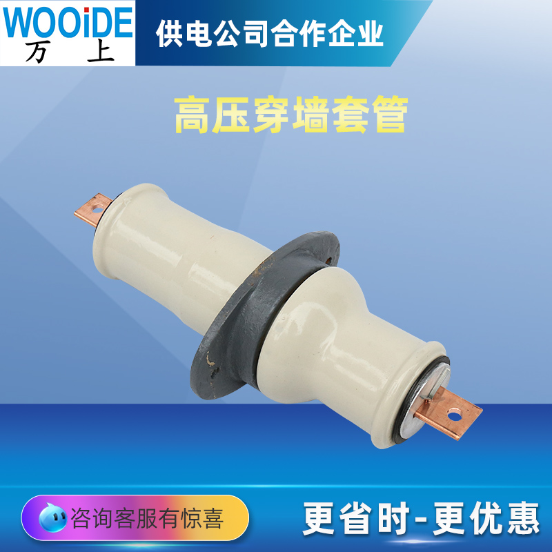 10KV穿墻套管CB-10KV\/200A-400A-1500A戶內(nèi)銅導(dǎo)體白陶瓷套管4*40