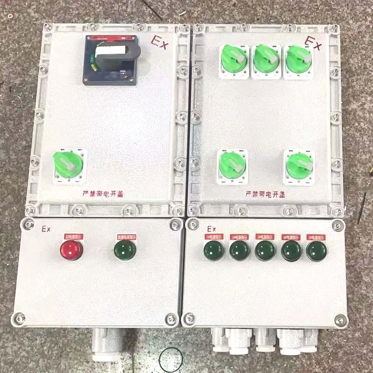 BXD51防爆動力配電箱雙開門防爆動力箱防爆開關(guān)箱