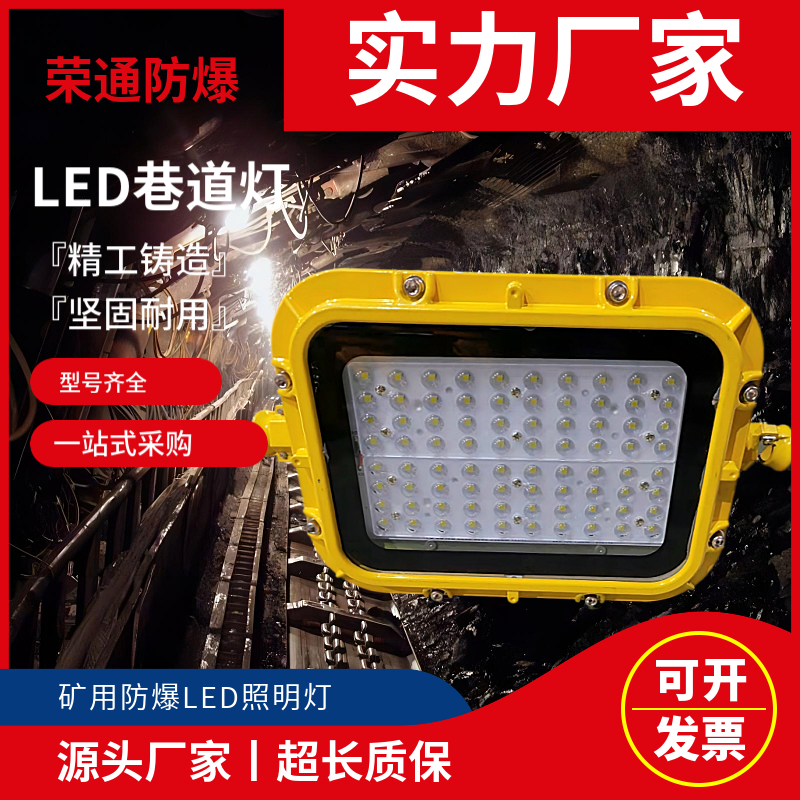 LED應急燈支架燈DGS15\/127L礦井隔爆型LED燈金屬防水接線盒