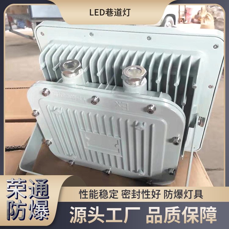 DGS18\/127L煤礦LED照明燈儲藏室礦用防爆燈榮通電器