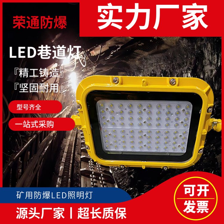 隔爆型LED支架燈DGS18\/36L巷道燈防爆光纖分線(xiàn)盒光線(xiàn)柔和