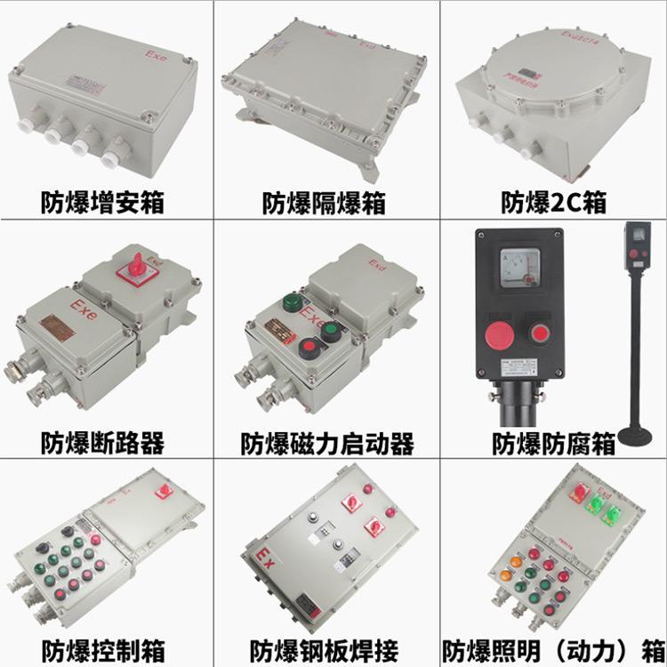 增安型防爆接線(xiàn)箱隆業(yè)電氣隔爆型配電箱廠(chǎng)家現(xiàn)貨供應(yīng)