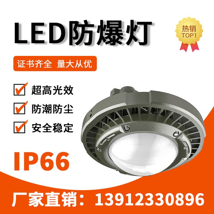 GCD98LED短玻璃防爆燈工廠燈80-150WLEDIP66