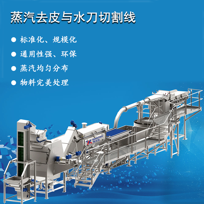 蒸汽去皮機加工黃桃罐頭土豆高溫爆皮流水線設(shè)備鑫正達